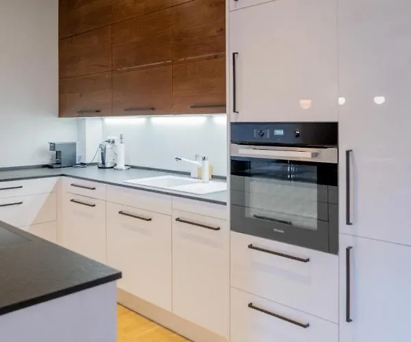 Apartman Destne Destne v Orlickych horach